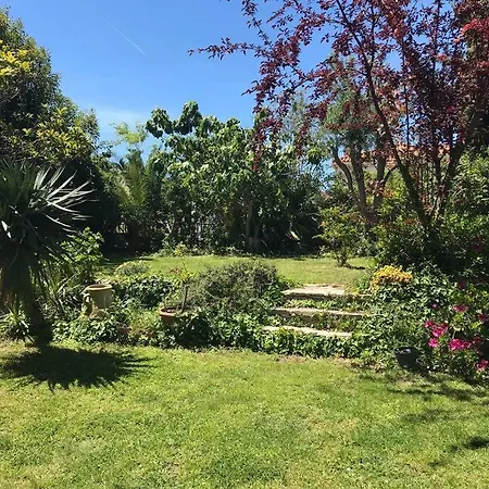 Calme Grand Jardin Bord De Mer. Parking Villa *